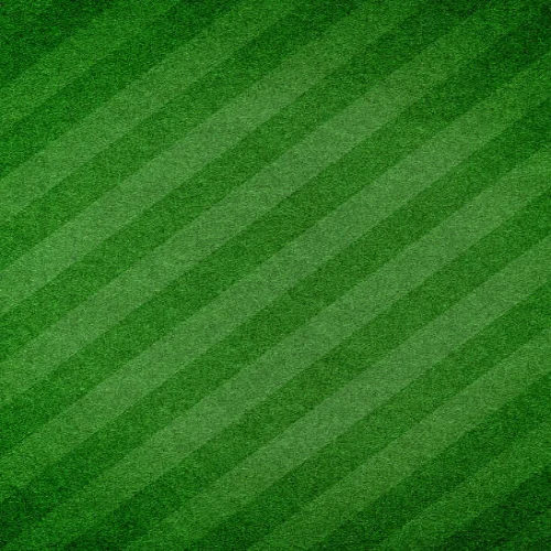Football Field Texture