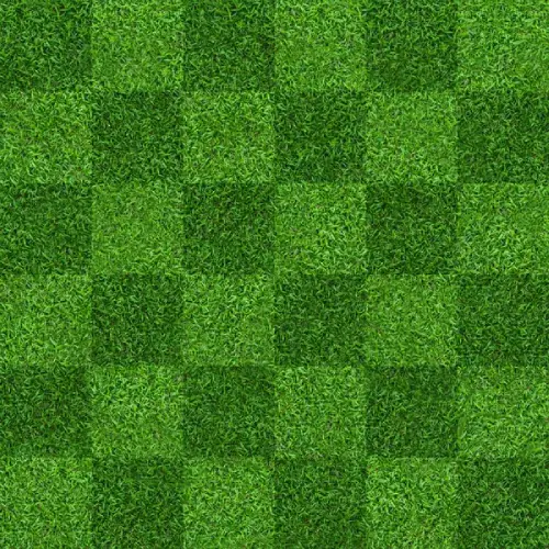 chceked Turf grass